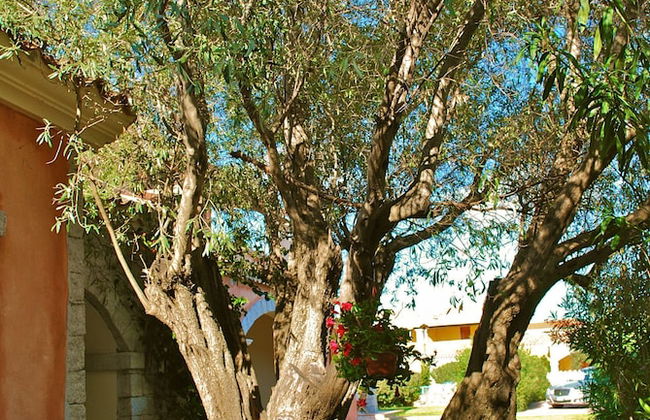 Appartamenti Vecchio Stazzo - Foto 153