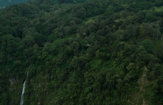 Naolinco Franciscan Route Tour - Foto 1