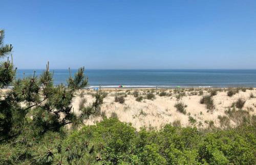 Fenwick Island - 38829 Bunting Avenue #1 - Foto 24
