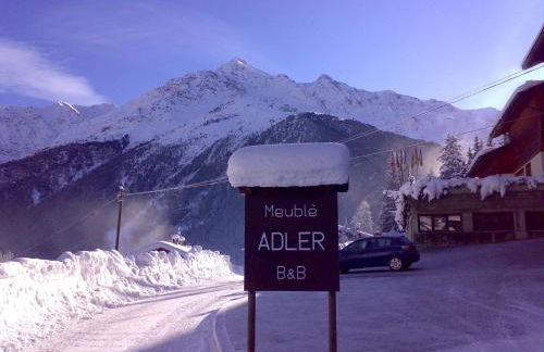 Hotel Meublè Adler - Rooms & Mountain Apartments - Foto 39