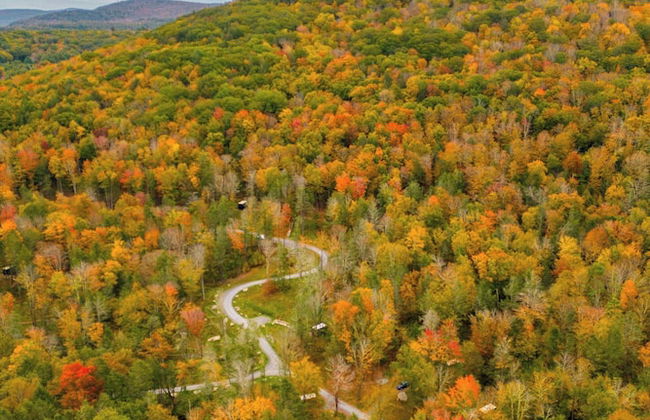 Postcard Cabins Western Catskills, Outdoor Collection by Marriott Bonvoy - Foto 44
