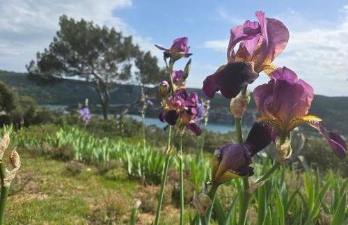 Les Oliviers Du Lac - Foto 8