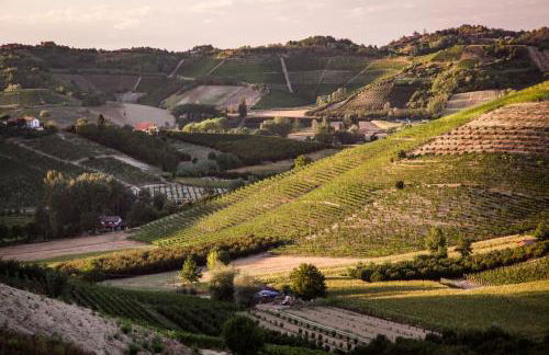 Villa Vinory - La Mandragola - Foto 65