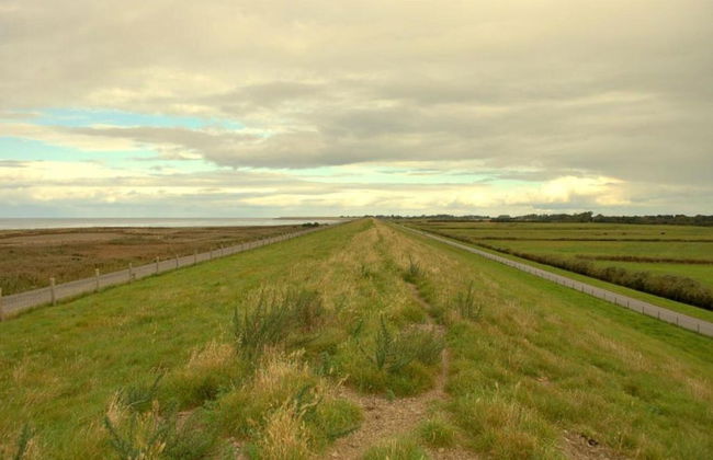 Holiday Home Near Lutjestrand Beach - Photo 28