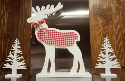 Le Renne Blanc Pyrénées de France - Foto 46