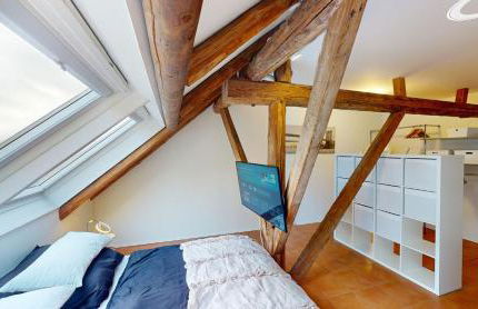 Gulfhof-Ferien Briese - Foto 15