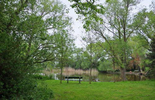 Albertsdorf Goldblick - Foto 20