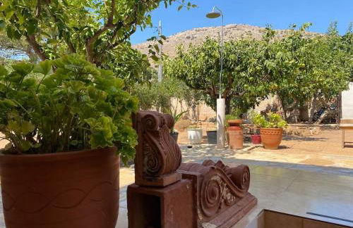 Villa Aura - Thymari - Foto 8