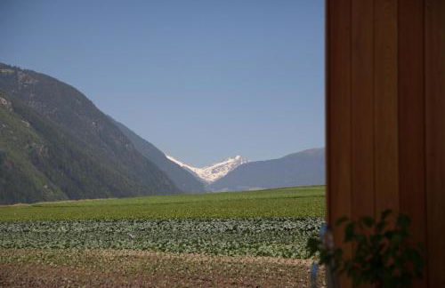 Winklerhof Apartments - Foto 11