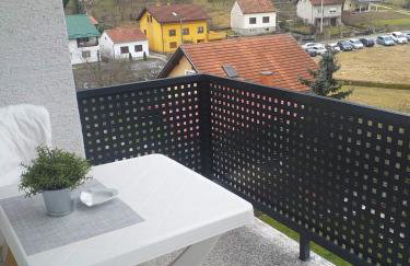 Apartments Krapinske Toplice Krtak Biba - Foto 10