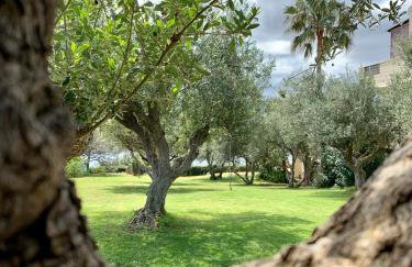 Aggelos and Thisbe Chania Suburbs Sea View Guest House - Foto 38