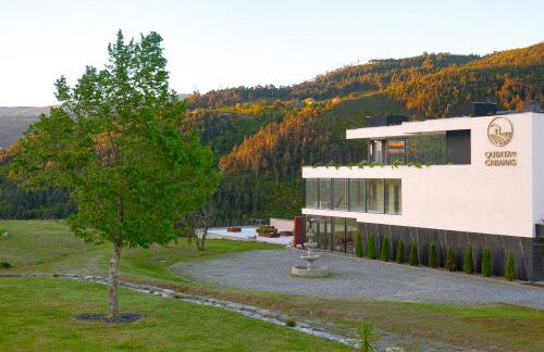 Quinta de Cabanas Douro Country House - Foto 37