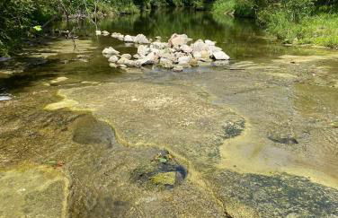 Cabin 1 Remote cabin next to Sam Houston National Forest - Foto 11