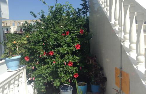 Dina Studios - Photo 34