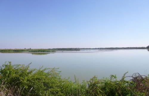 La Tomina - Photo 13