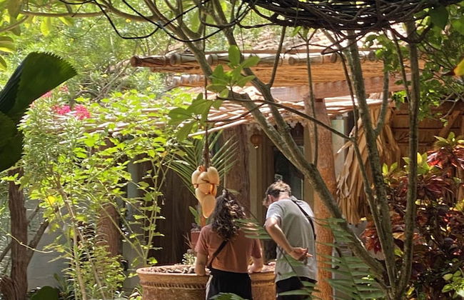 Surf N Sun - Foto 30