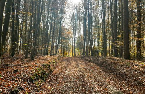 fewo Hoellbach - Foto 17