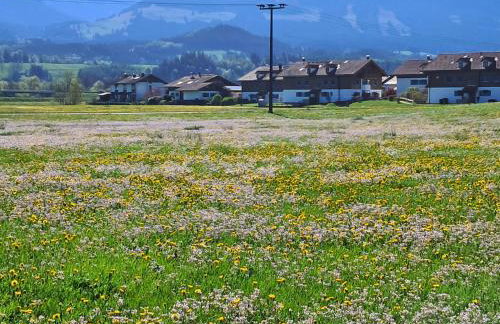 Bauernhof Finkel - Ferienwohnungen mit Balkon - Bergsicht - Traktor mitfahren - Tiere streicheln - entspannter Familienurlaub - zentrale Lage nahe Oberstdorf - Foto 53