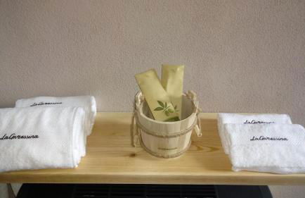 LaGaressina suite Anna - Jacuzzi & Spa - Foto 35