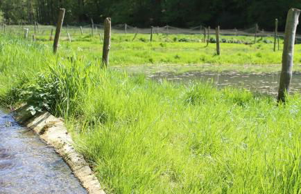 Hollweck´s Landoase - Foto 43