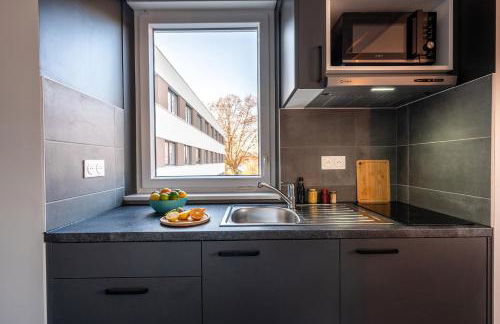 Nemea Appart Hotel Coeur Europe Strasbourg Illkirch - Foto 45