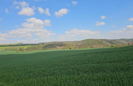 Ferienhaus-wurzbach - Foto 21