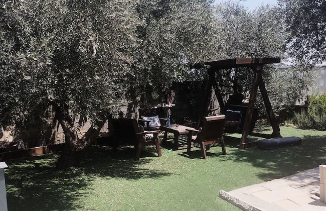 Olive Palace Restaurant and Lounge - Foto 12