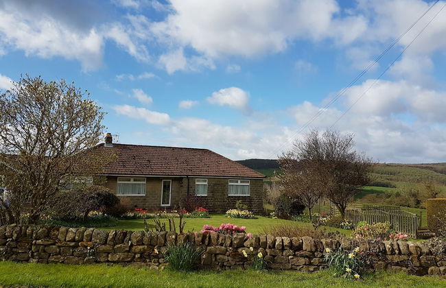 Woodpeckers Cottage - Photo 1