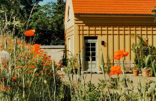 Experience Nature In A Rural Riverside Guesthouse - Foto 4