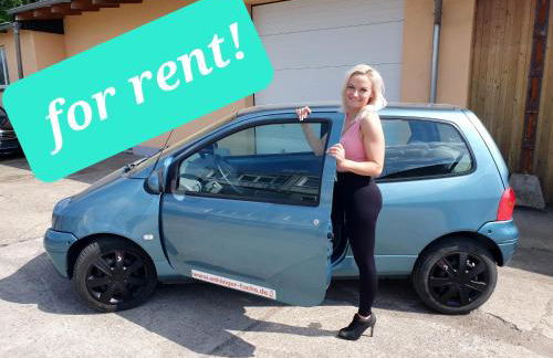 Gartenhaus Nossen - Foto 9