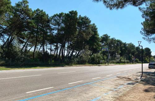 MedusaBlu121 - Photo 10