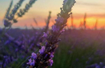 -Le Toit Terrasse - - Foto 22