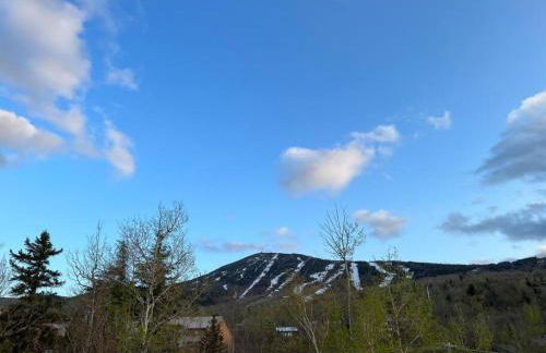 Summit Haus Golf and Liftside Penthouse - Foto 25