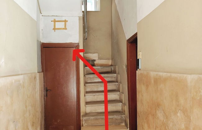 Crystal Domus - Photo 43