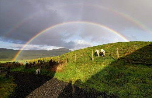 Glen Bay - 2 Bed Lodge on Friendly Farm Stay with Private Hot Tub - Foto 57