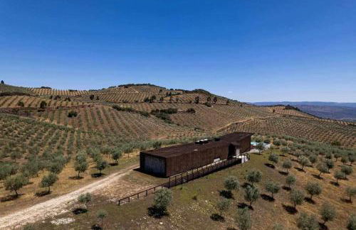 Acushla Golden House Douro - Foto 44