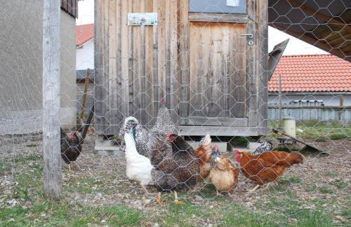 Ferienwohnung Alpenblick - Foto 21