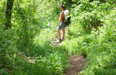 Unterpfaffstall-Hof - Foto 58