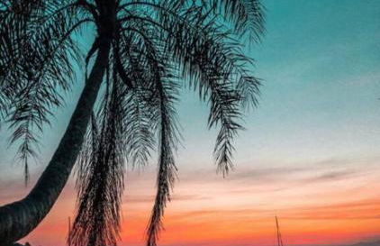 Experiência a bordo em Angra - Foto 41