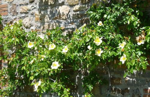 Podere Sant'Angelo - Foto 32