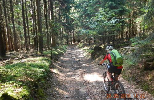 Ferienhaus Ederer - Foto 40