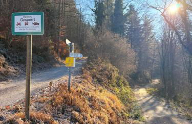 alexas forest hideaway - Foto 16