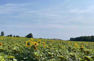 Ferienwohnungen Zimmermann - Photo 7