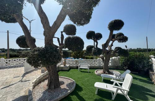 Regina di Puglia Casa Vacanze - Foto 22