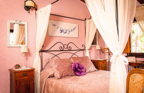 Garden Cactus - Foto 76