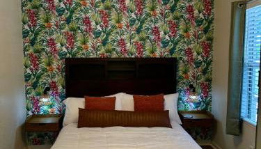 Tampa Jungalow- Pool Oasis - Foto 3