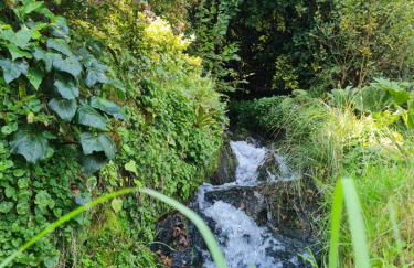 Moulin de Bonnescat - Foto 11