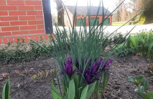Ferienwohnung auf dem Land - Foto 9