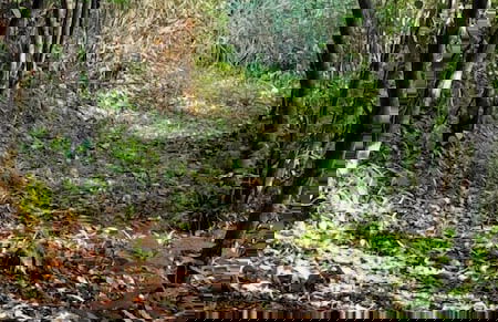 El Cielo Biohospedaje - Foto 34