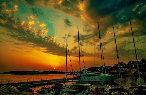 Sea Pearl - Photo 23